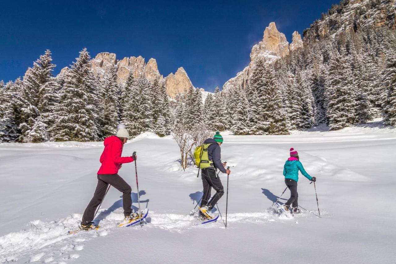 Hotel Ladinia Dolomites View Pozza di Fassa Kültér fotó